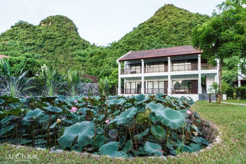 hoa-lu-ninh-binh-aravin.jpg (174 KB)