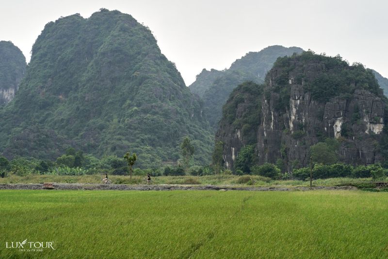 homestay-ninh-binh-gan-trang-an-2.jpg (81 KB)