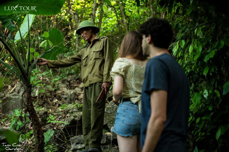 khach-san-o-tam-coc-ninh-binh-12.jpg (97 KB)