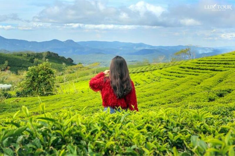 doi-che-thanh-son-ninh-binh-thang-12.jpg (86 KB)