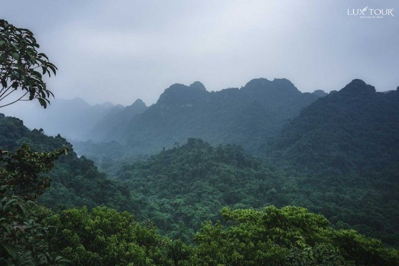 vuon-quoc-gia-cuc-phuong-ninh-binh-thang-12.jpg (62 KB)