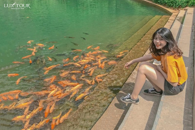 tuyet-tinh-coc-77.jpg (131 KB)