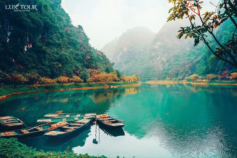 tuyet-tinh-coc.jpg (145 KB)