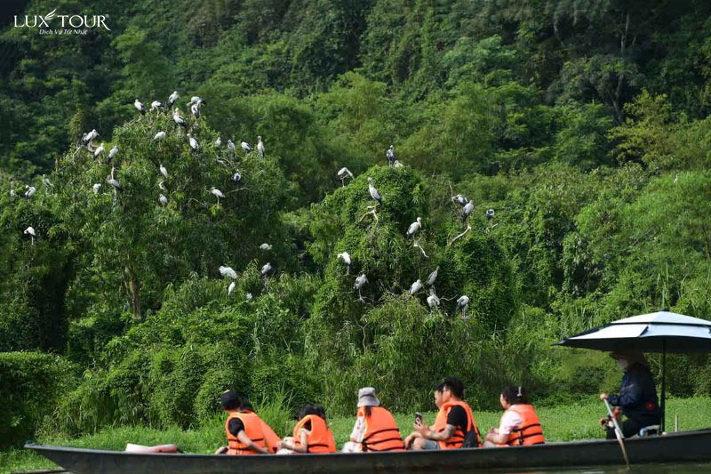 vuon-chim-thung-nham-336.jpg (180 KB)