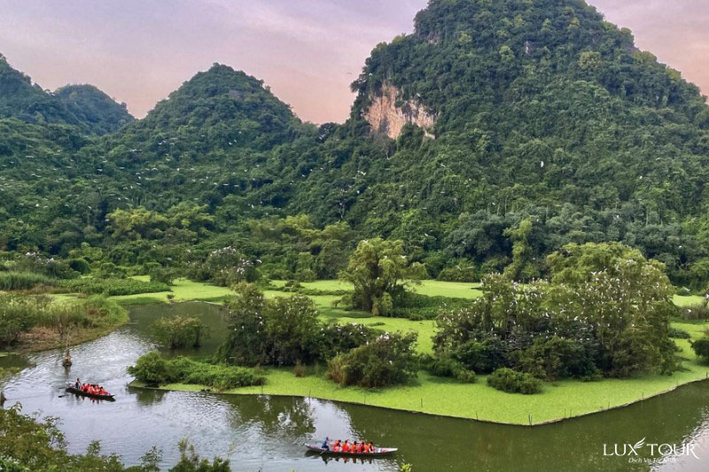 vuon-chim-thung-nham-7.jpg (164 KB)