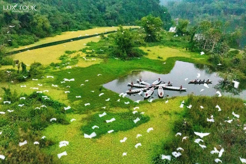 vuon-chim-thung-nham-72.jpg (188 KB)