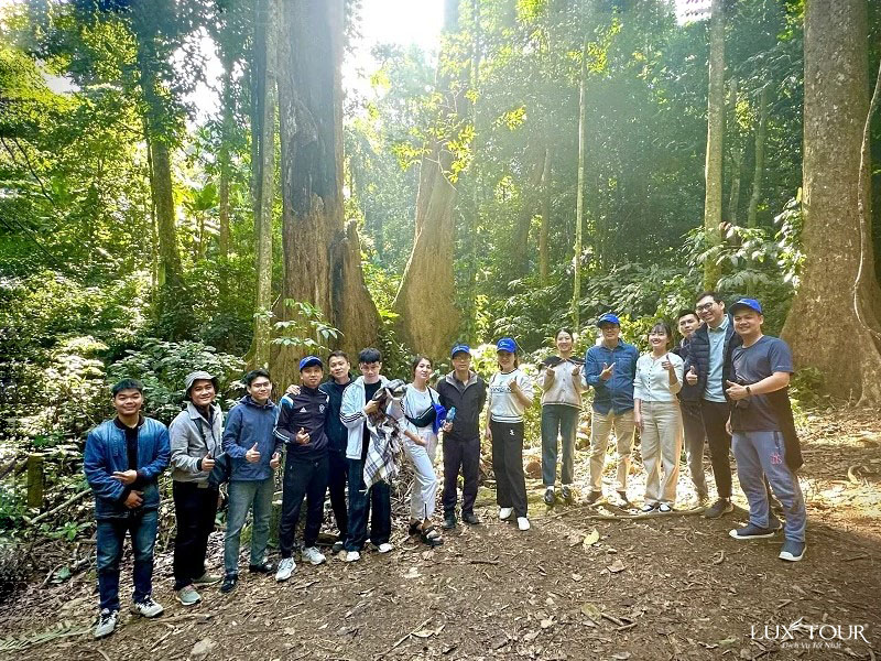 vuon-quoc-gia-cuc-phuong-233.jpg (273 KB)