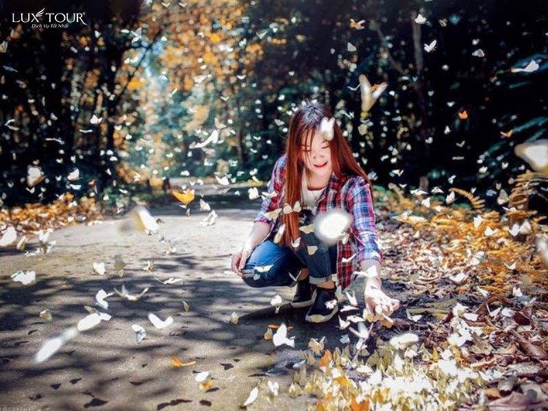 vuon-quoc-gia-cuc-phuong-2334.jpg (198 KB)