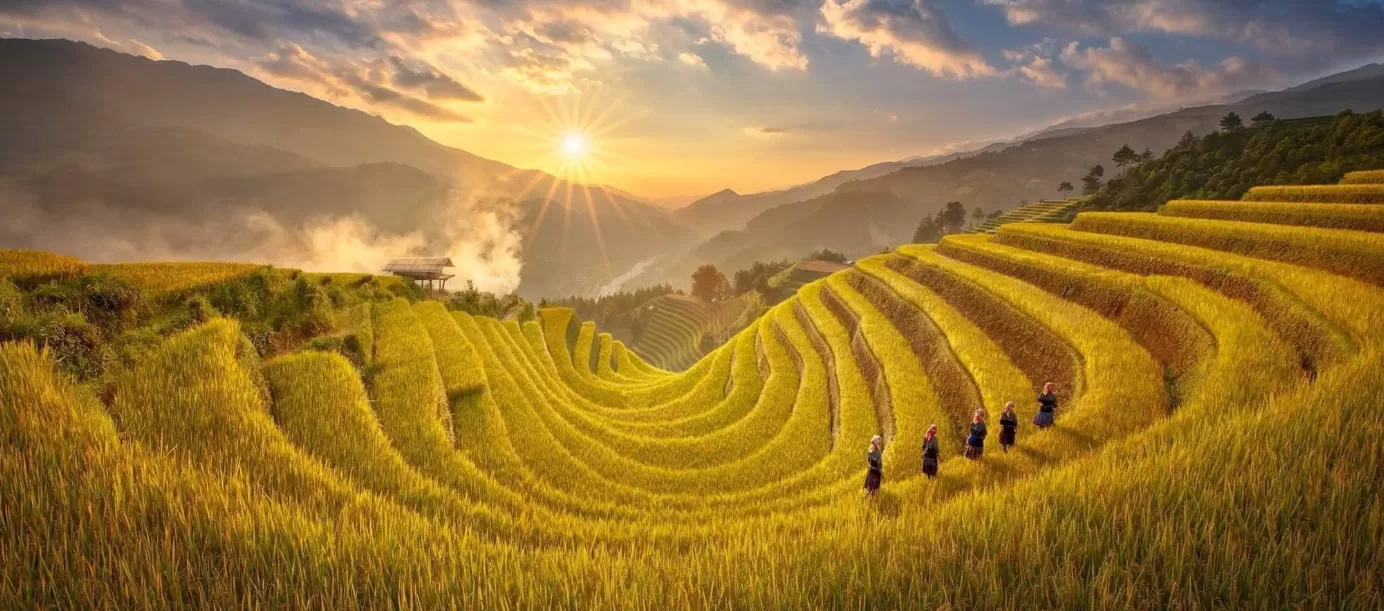 Đặt tour tại LuxTour - Vi vu muôn nơi, sống trọn từng khoảnh khắc